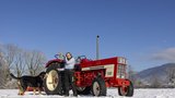 Der IHC 644 ist Vivienne Hausheers Traumtraktor. (Bild: «die grüne» / Gian Vaitl)