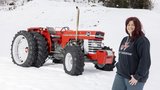 Der Massey Ferguson 165 ist Nicole Schulers Traumtraktor. (Bild: «die grüne»/Gian Vaitl)