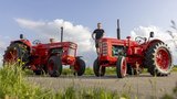 Die Traktoren Volvo BM 470 (rechts) und Volvo BM T810 (links) hat Hanspeter Seewer aus Schötz LU aufwändig restauriert. (Bild: «die grüne» / Gian Vaitl)