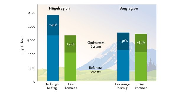 In den optimalen Lamm-Produktionssystemen sind der Deckungsbeitrag und das Einkommen wesentlich höher als bei den Referenzsystemen. Grafik: Doris Rubin 