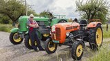 Zwei der zwölf Steyr-Traktoren von Kurt Bitzi: Der grüne Steyr 280 und der Steyr 188. (Bild: «die grüne» / Pia Neuenschwander)