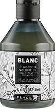 Szampon zwiększający objętość włosów Black Professional Line Blanc Volume Up Shampoo