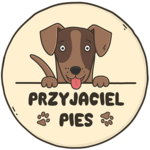 Przyjaciel Pies