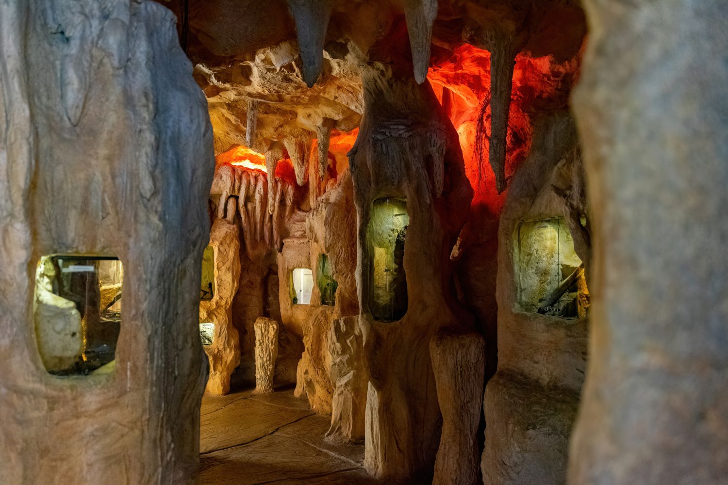 Grotte mit nachaktiven Tieren