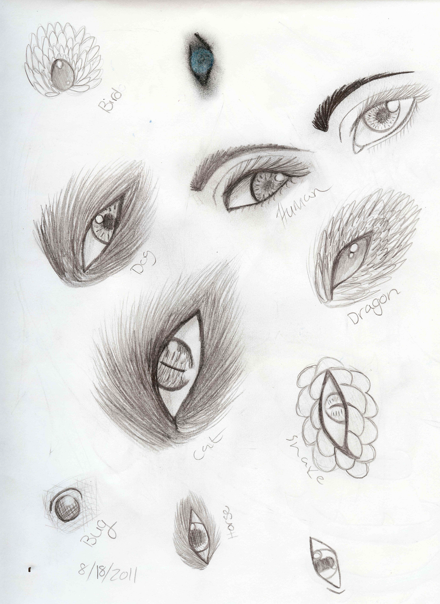 Animal eye sketch dump by XxDeadKenalaxX on DeviantArt