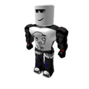 Roblox Pilot Avatar