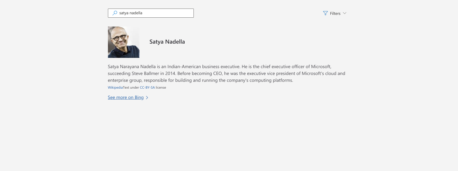 Illustration of looking up information about Satya Nadella.