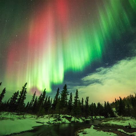 Aurora Borealis Photos Of Northern Lights Over Alaska Following