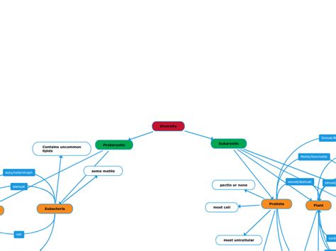 Diversity Mind Map