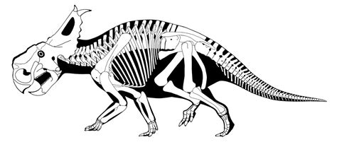 Dinosaur Skeleton Drawing At Getdrawings Free Download