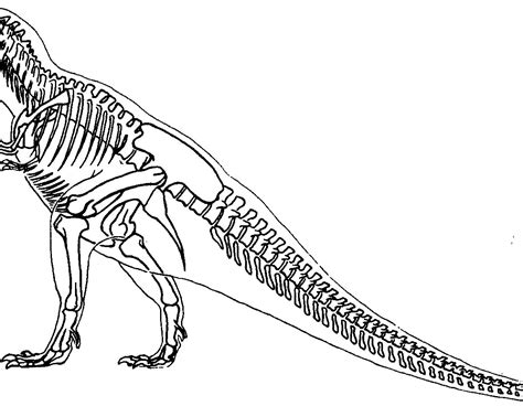 Unvergleichliche Tipps Zum Thema Malvorlagen Dinosaurier Skelett