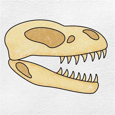 Easy Dinosaur Skull Drawing Helloartsy