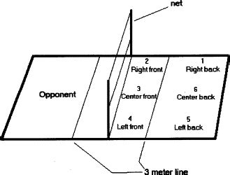 There are six positions on a volleyball court, and each position serves a unique role in the success of the team. Volleyball