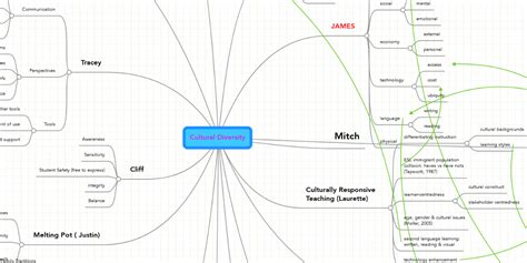 Cultural Diversity Mindmeister Mind Map