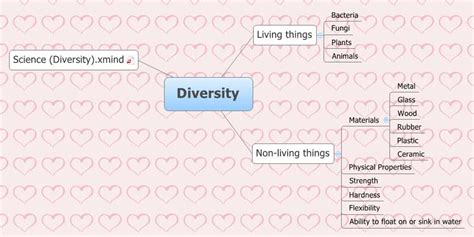 Diversity Xmind Mind Mapping Software