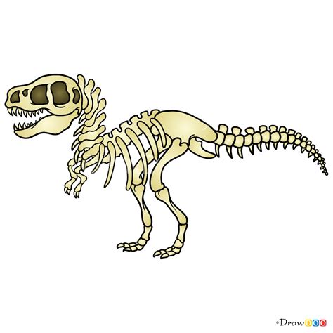 How To Draw Dinosaur Skeleton Skeletons