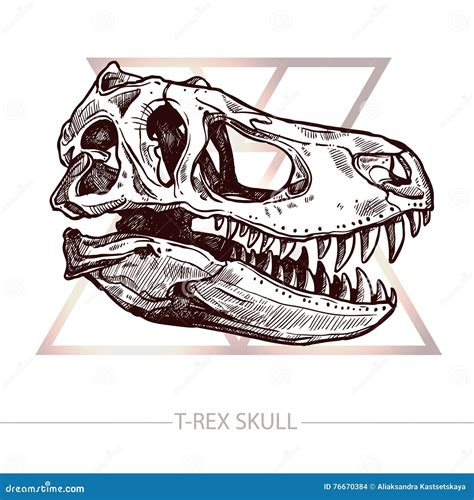 Dinosaur Skull Sketch Of Trex Skull Stock Vector Illustration Of