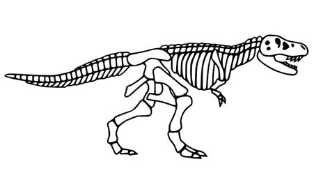 Tyrannosaurus Skelett Zum Ausmalen Kostenlos Malvorlagen Und