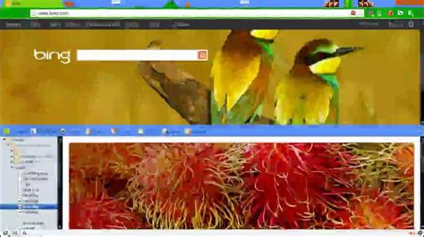How To Save Bing Wallpapers And Backgrounds Youtube