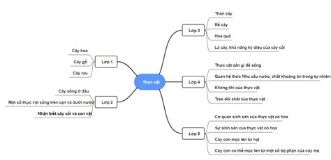 Flower Mind Map