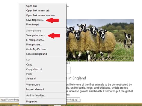 How To Save Bing Photos Microsoft Community