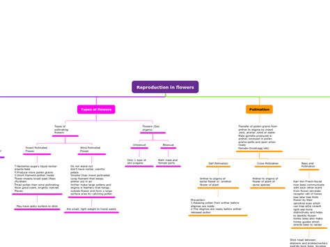 Reproduction In Flowers Mind Map