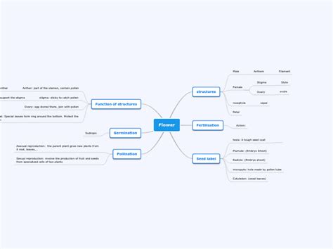 Flower Mind Map