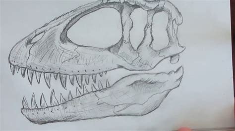 How To Draw A Dinosaur Head Easy