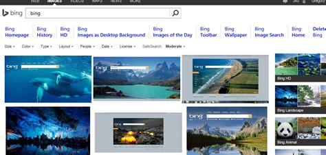 How To Use Bing Images For Your Website Tm Blast