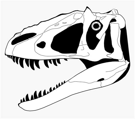 Dinosaur Skeleton Head Drawing Dinosaur Skull Coloring Page Hd Png