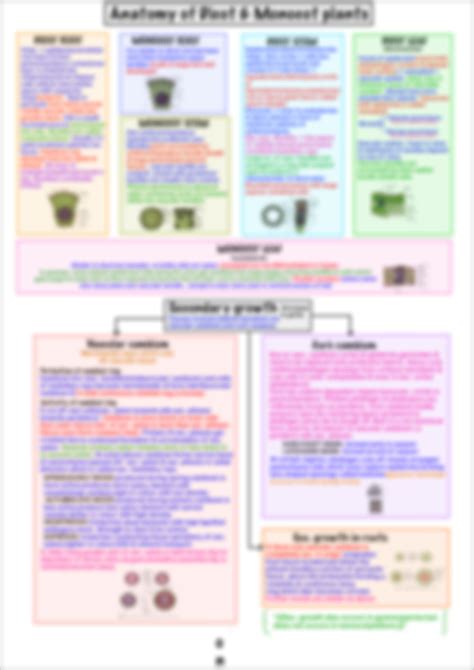 Solution Anatomy Of Flowering Plants Mind Map Studypool