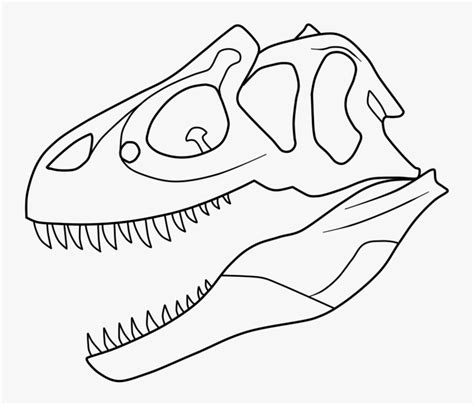 T Rex Skeleton Coloring Pages Sketch Hd Png Download Transparent