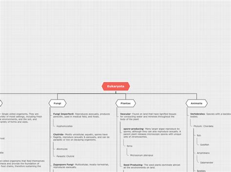 Diversity Mind Map Mind Map