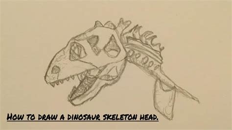 How To Draw A Dinosaur Skeleton Head Youtube