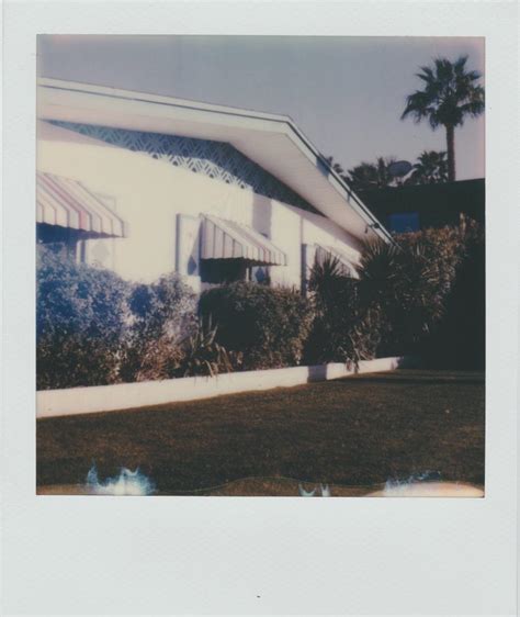 Undeveloped A Bit But I Like The Way It Looks Rpolaroid