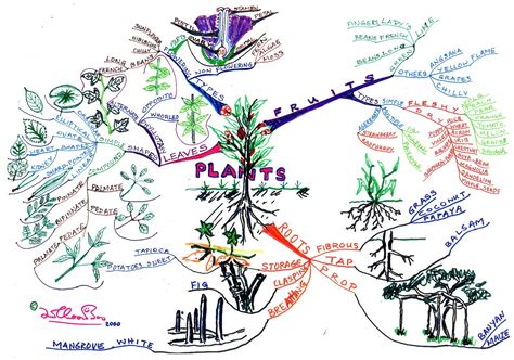 Learn To Be A Mindmapper Lim Choon Boo My Mind Map On A Primary 4