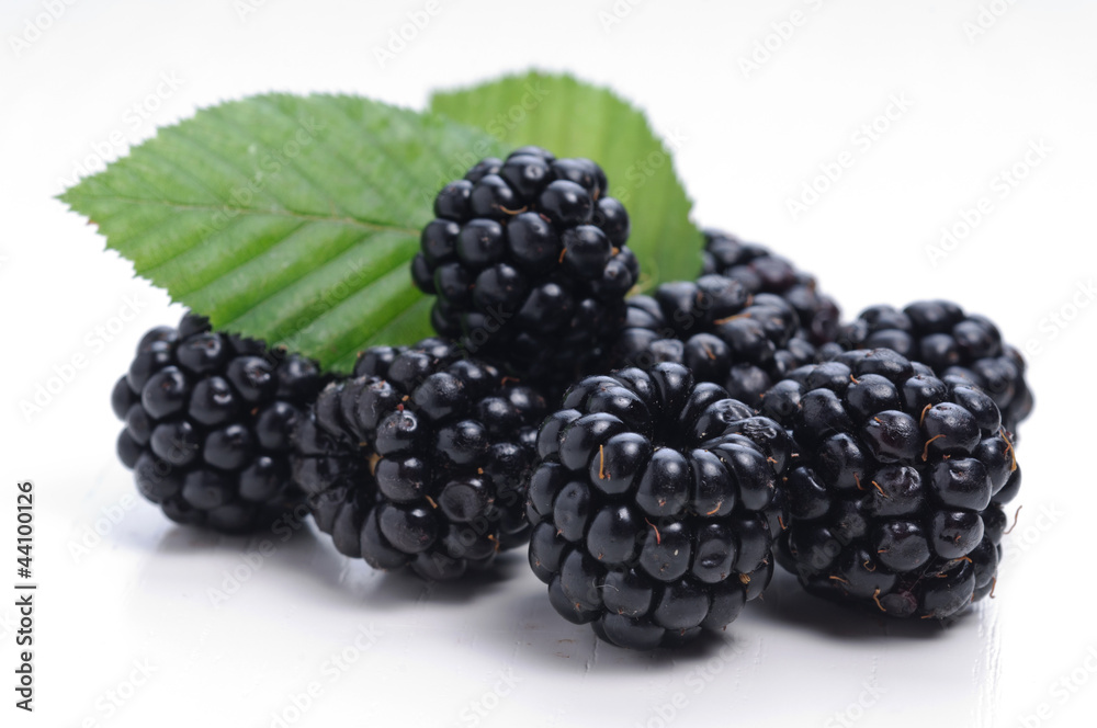 Blackberries with leaf