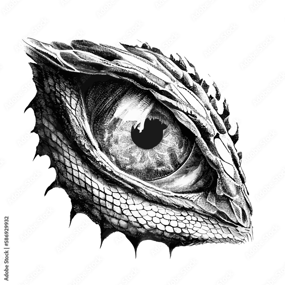 Dragon Eye Pencil Drawing