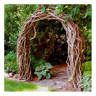 bittersweet vine arbour garden