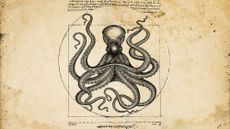 Illustrative collage of a parody of Leonardo Da Vinci's Vitruvian man, with an octopus instead of a man.