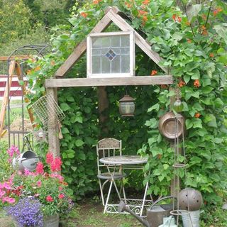 living runner bean covered den