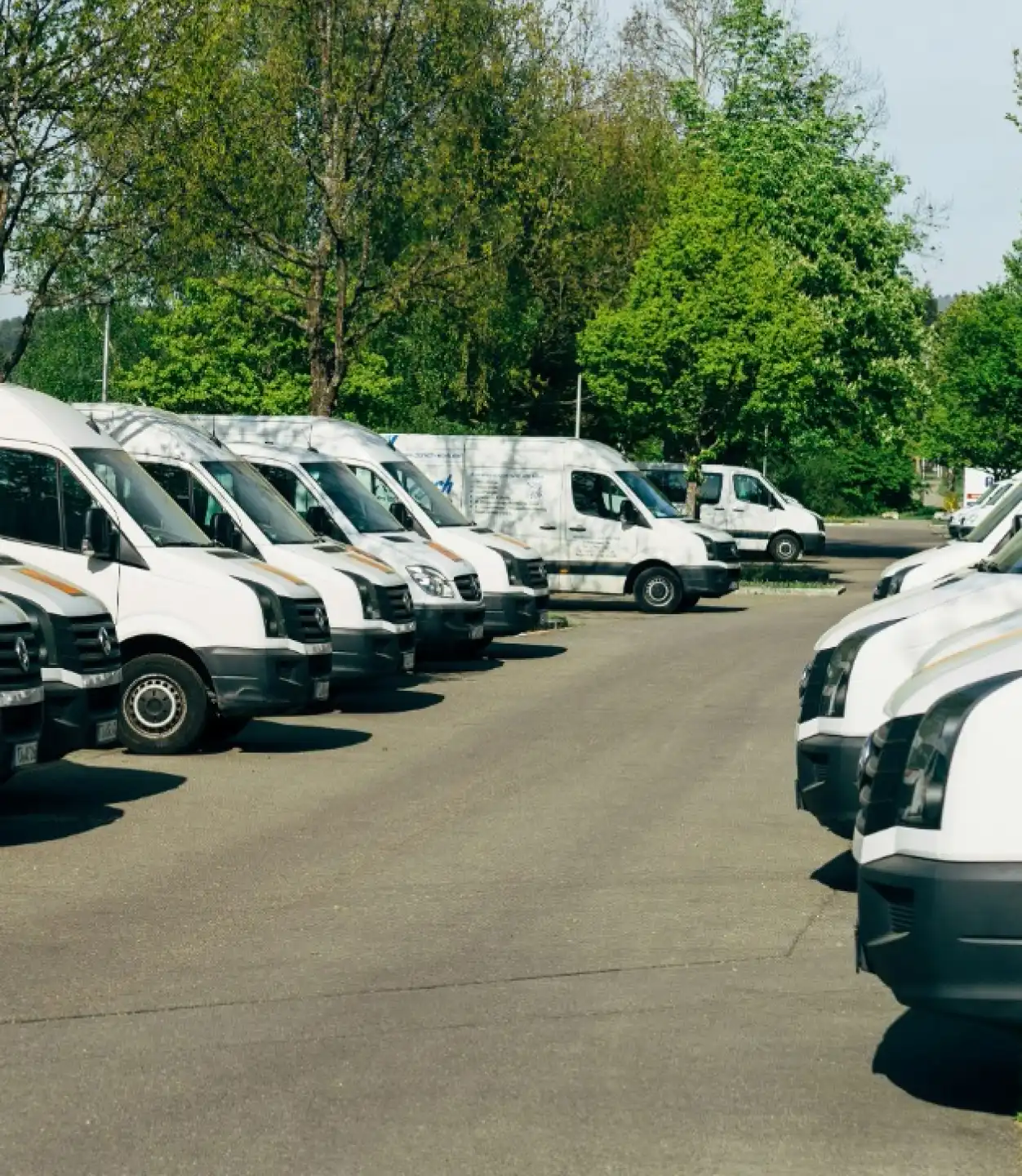 a group of trucks in a lot