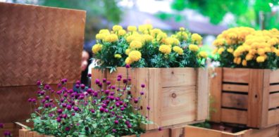 70 DIY Blumenkästen für Balkon und Fenster