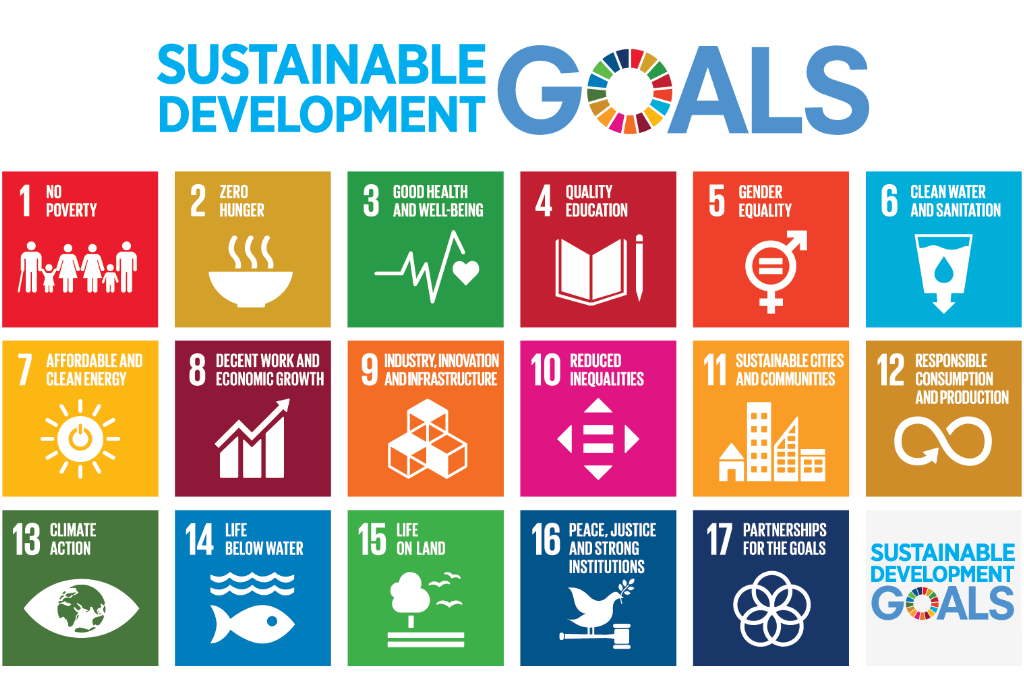 What are the Sustainable Development Goals (SDGs) and Why are They ...