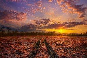 crossroads, Sunset, Field, Path, Clouds, Grass, Horizon, Yellow, Nature, Landscape