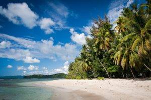 beach, Palm Trees, Sea, Clouds, Sand, Tropical, Summer, Vacations, Nature, Landscape