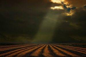 nature, Landscape, Sun Rays, Field, Clouds, Sunlight