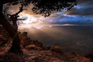 nature, Landscape, Sunset, Grand Canyon, Trees, Clouds