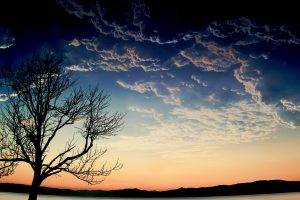 trees, Clouds, Landscape