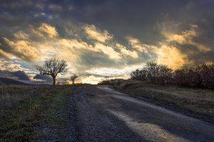 clouds, Road, Trees, Landscape